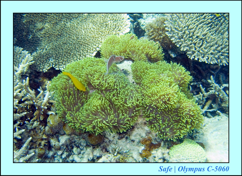 2008 - 07 - Leng Tengah - 086